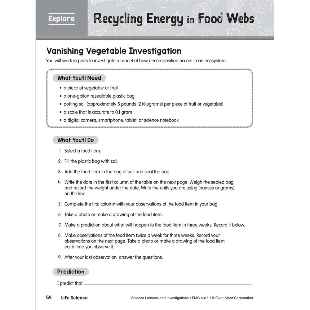 SCIENCE: Lessons and Investigations - Grade 5 Paperback - Tools 4 Teaching