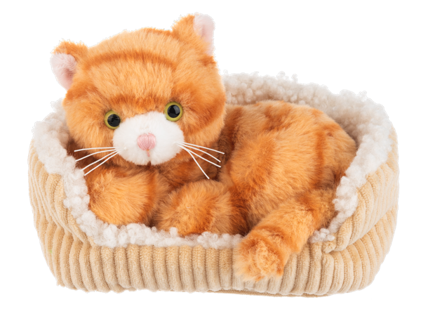 7" Snuggle N Snooze Kitten