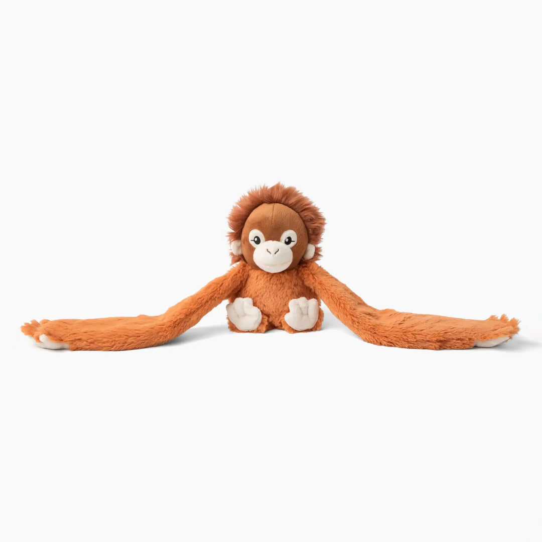 Ollie the Orangutan