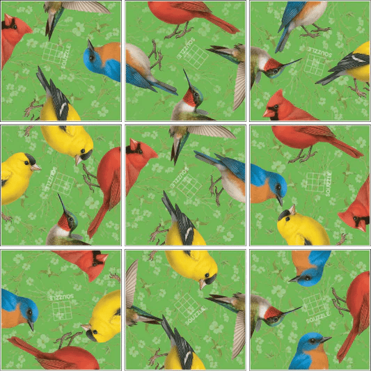 Birds Squzzle - Tools 4 Teaching