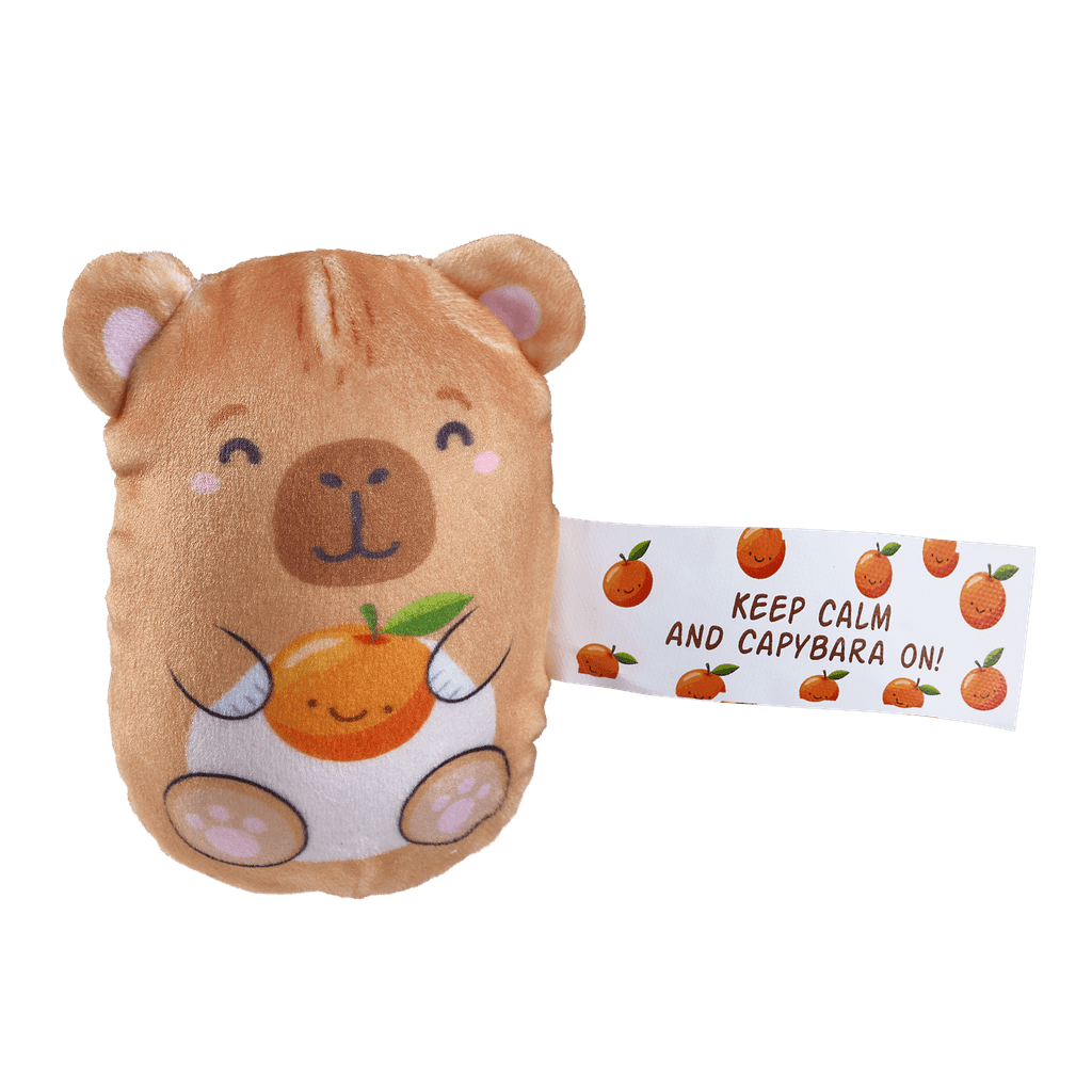 Bubble Stuffed Squishy Friends - Emotional Support Edition (Assorted) - Tools 4 Teaching