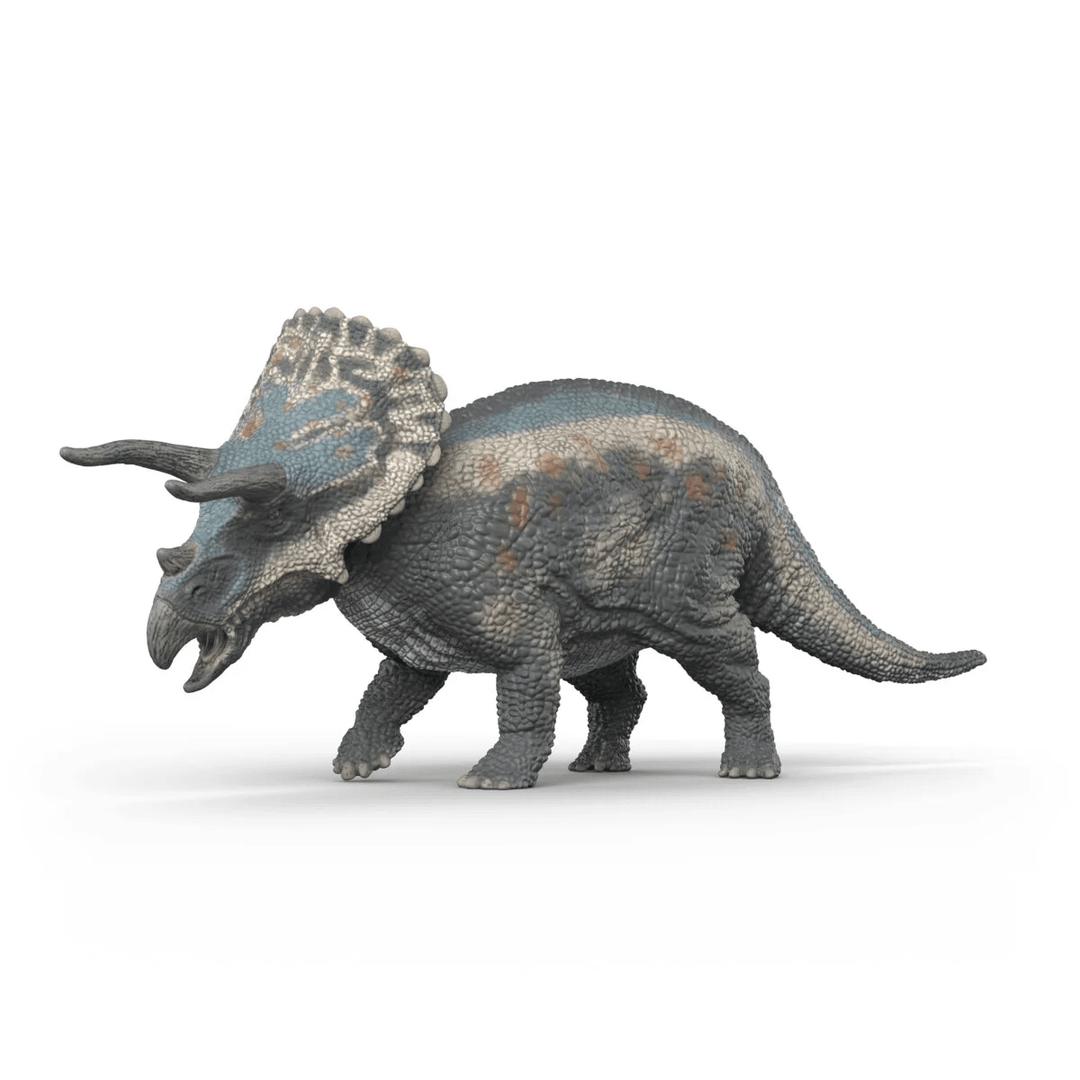 Triceratops - Tools 4 Teaching
