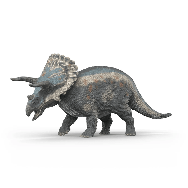 Triceratops - Tools 4 Teaching