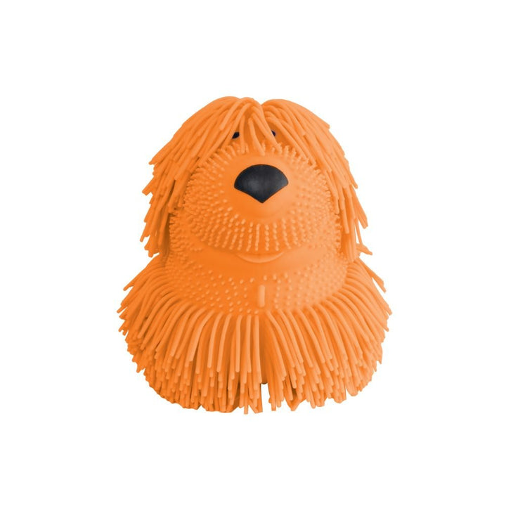 Shaggy Pups - Tools 4 Teaching