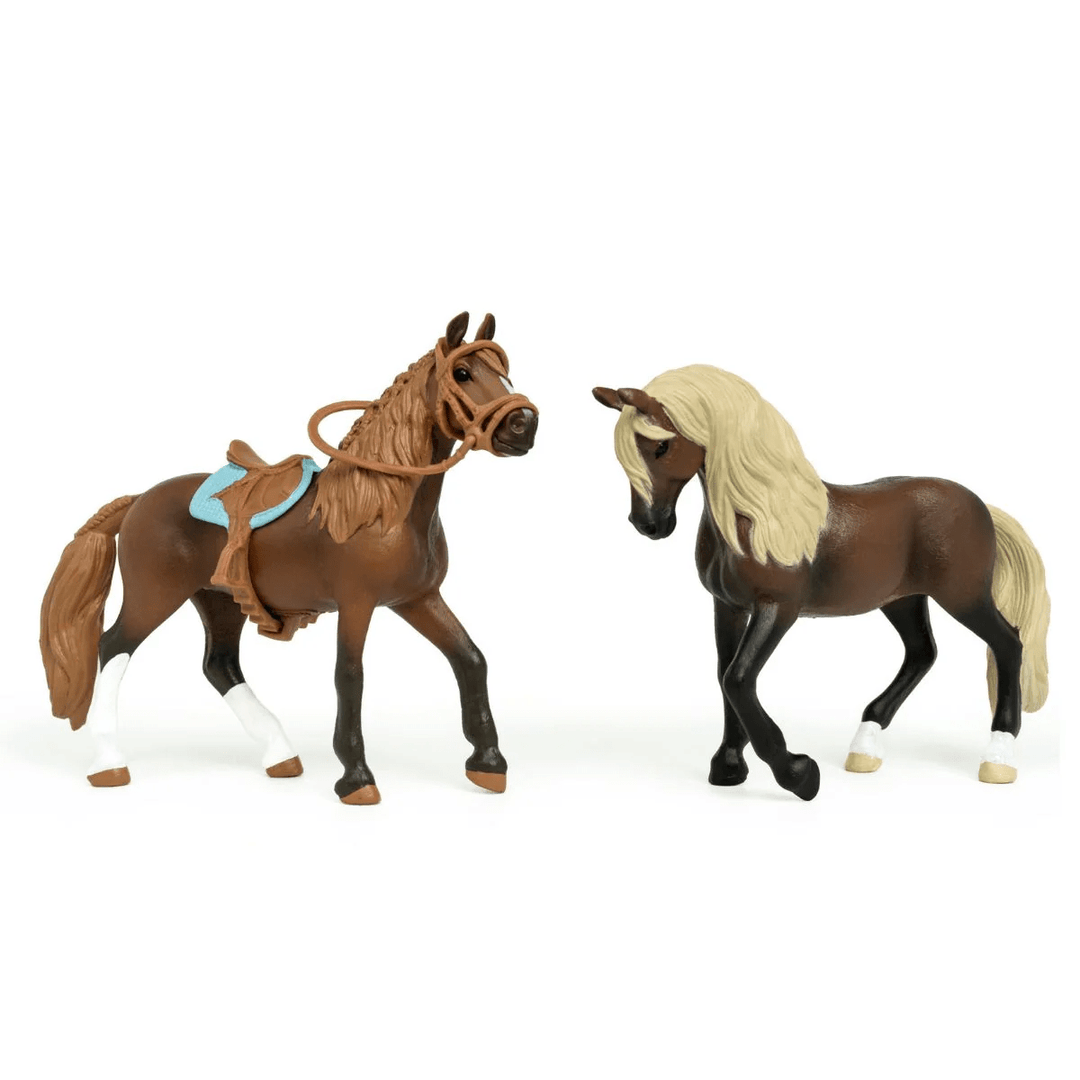 Horse Club Starter Set-Schleich USA-Tools 4 Teaching-Classroom Decor and More