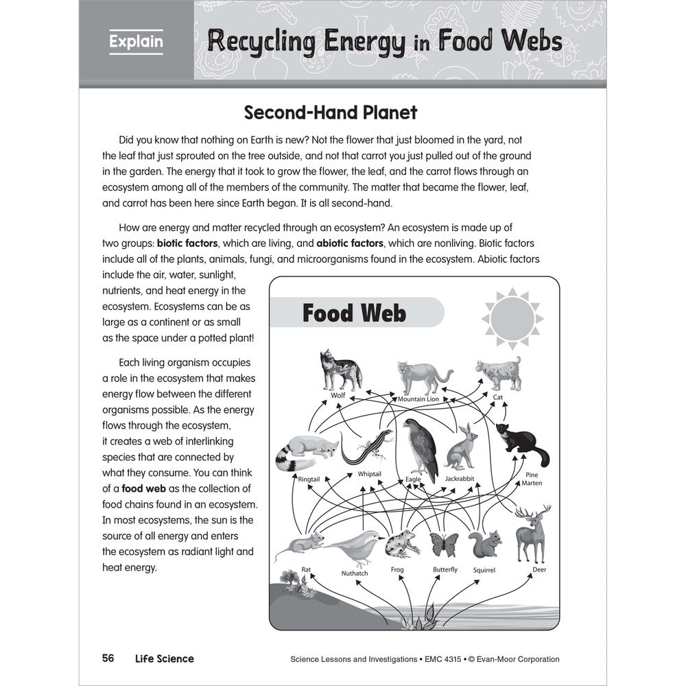 SCIENCE: Lessons and Investigations - Grade 5 Paperback - Tools 4 Teaching