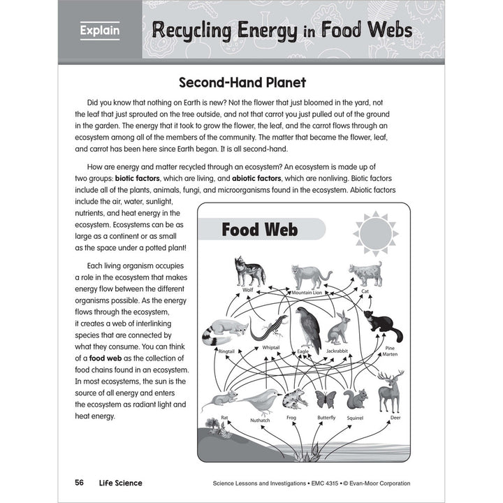 SCIENCE: Lessons and Investigations - Grade 5 Paperback - Tools 4 Teaching