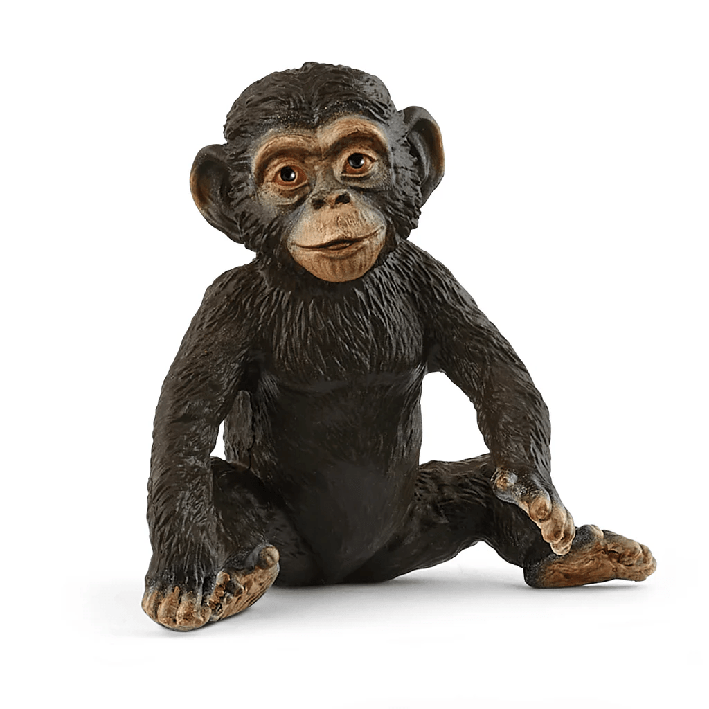 Chimpanzee Cub - Tools 4 Teaching