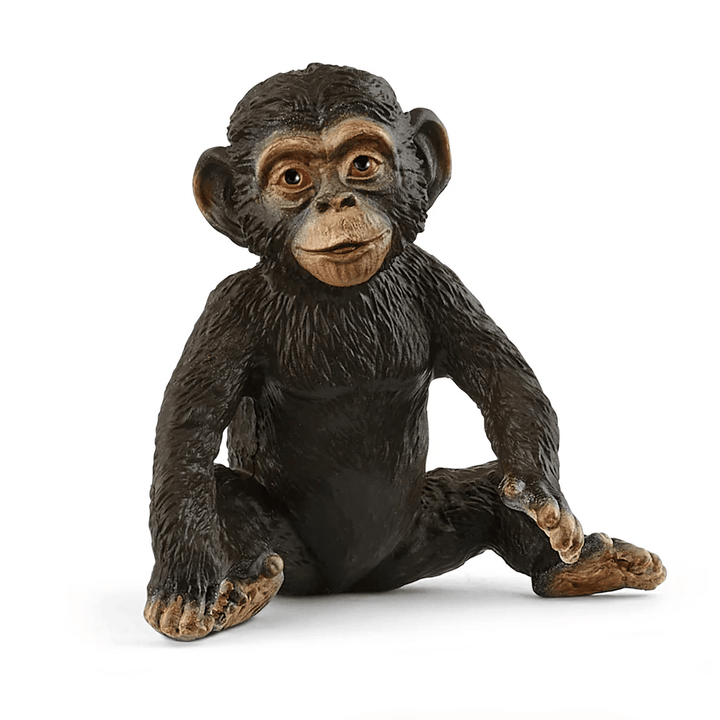 Chimpanzee Cub - Tools 4 Teaching
