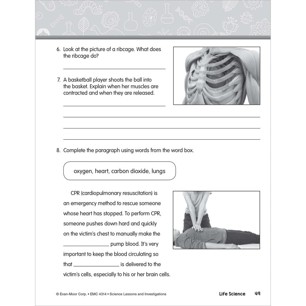 SCIENCE: Lessons and Investigations - Grade 4 Paperback - Tools 4 Teaching