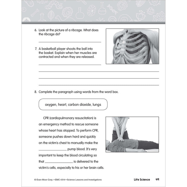 SCIENCE: Lessons and Investigations - Grade 4 Paperback - Tools 4 Teaching