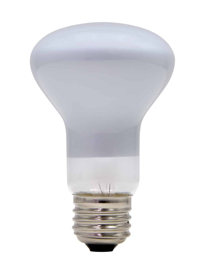 27" LAVA® Grande Lamp Replacement Bulb - 100W-Lava-Tools 4 Teaching-Classroom Decor and More