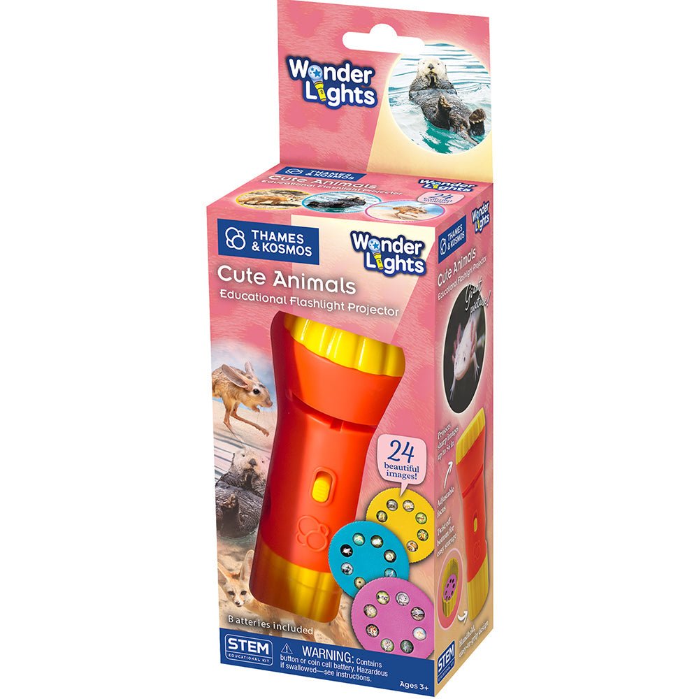Wonderlights: Cute Animals - Tools 4 Teaching