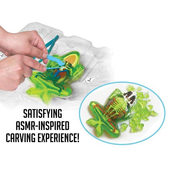 Dissect-It Super Frog Lab-Science & STEM-Tools 4 Teaching-Classroom Decor and More