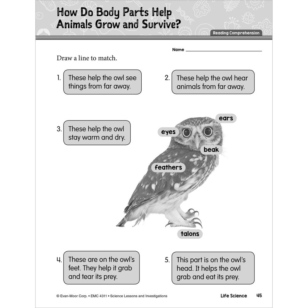 *SCIENCE Lessons and Investigations - Grade 1 Paperback - Tools 4 Teaching