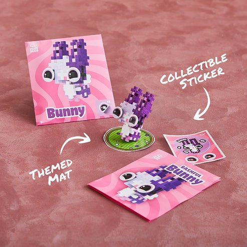 Pet Packet Bashful Bunny - Tools 4 Teaching
