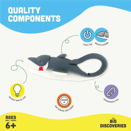 Lifelight Dolphin-Fidgets-Tools 4 Teaching-Classroom Decor and More