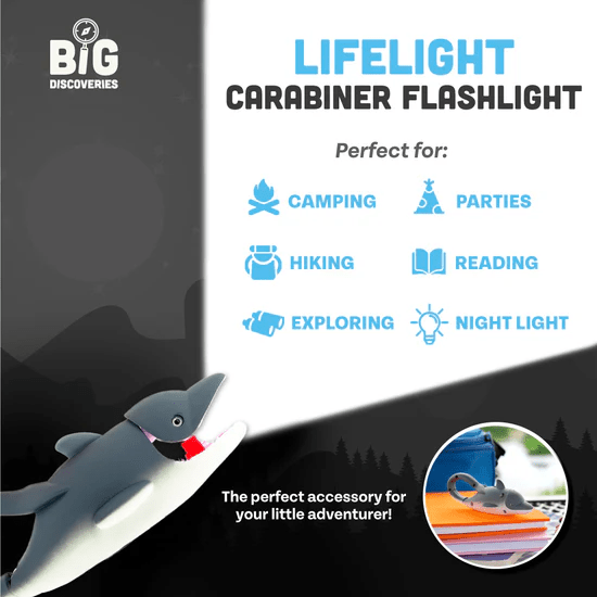 Lifelight Dolphin-Fidgets-Tools 4 Teaching-Classroom Decor and More