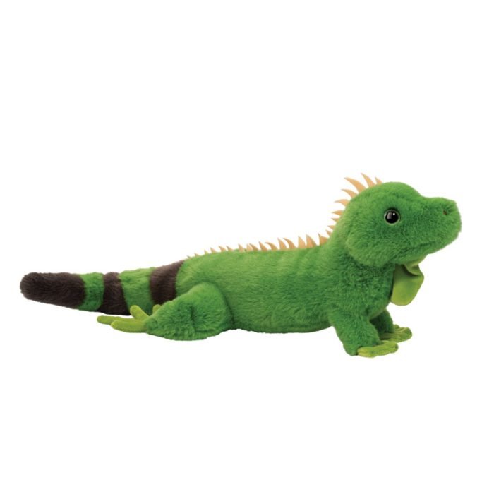Buddie Iguana - Tools 4 Teaching