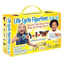 *Life Cycle Figurines 24 pc Set-Science & STEM-Tools 4 Teaching-Classroom Decor and More