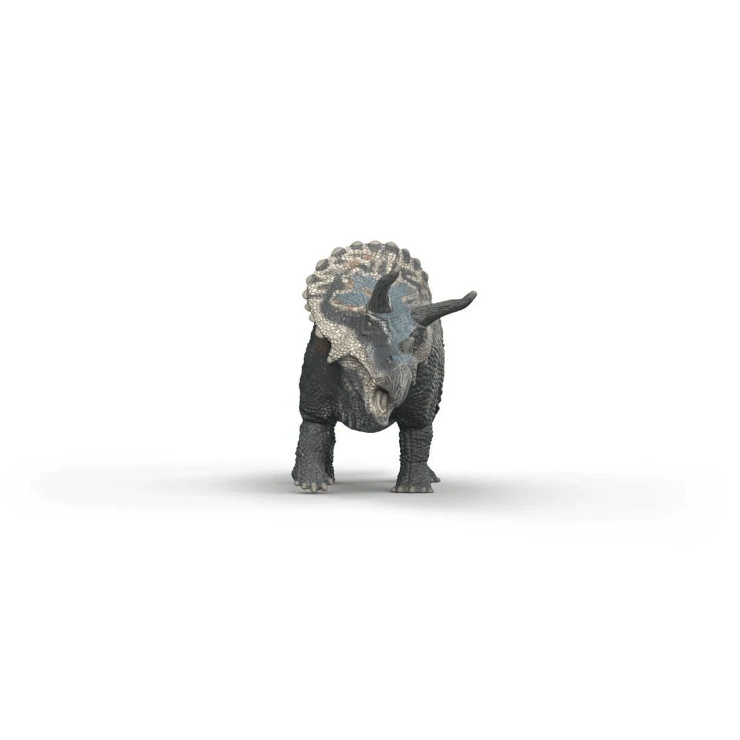 Triceratops - Tools 4 Teaching