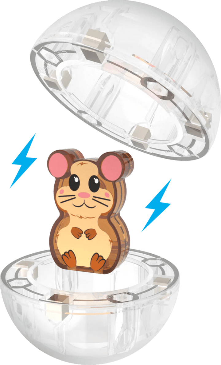 MagnaTiles- Hamster Ball-Magnatiles-Tools 4 Teaching-Classroom Decor and More