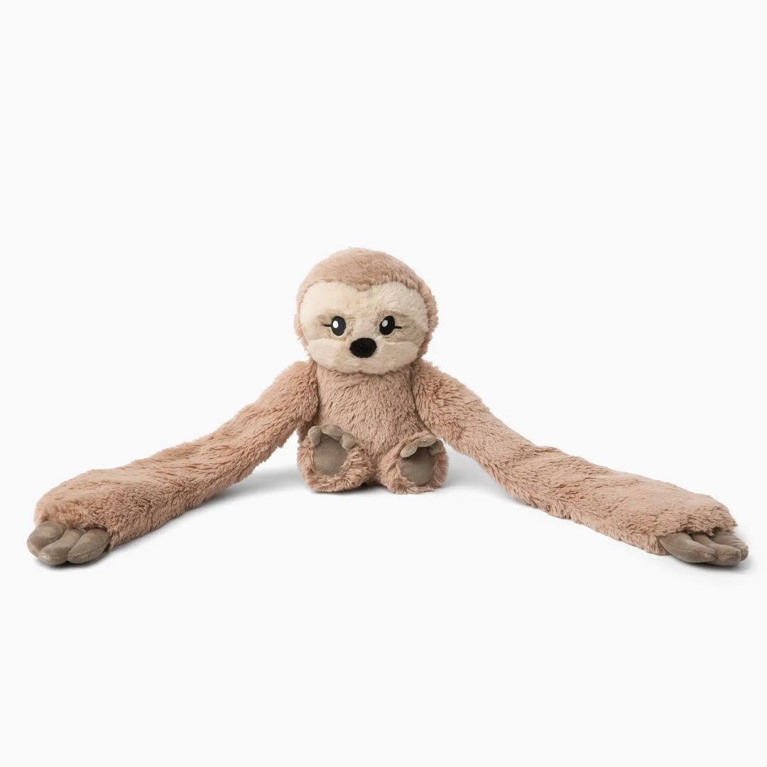 Sawyer the Sloth