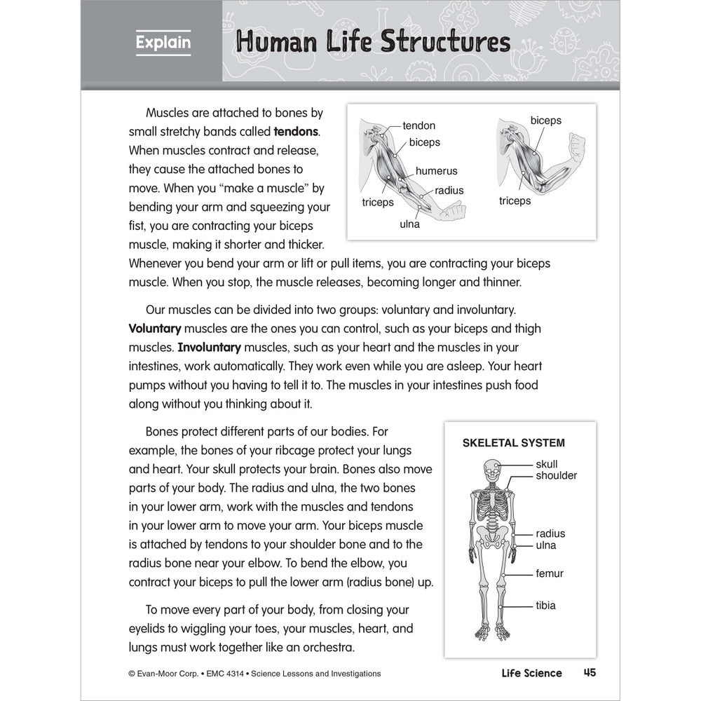 SCIENCE: Lessons and Investigations - Grade 4 Paperback - Tools 4 Teaching