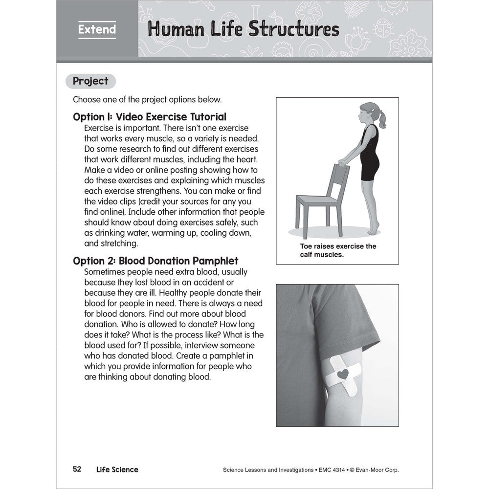 SCIENCE: Lessons and Investigations - Grade 4 Paperback - Tools 4 Teaching