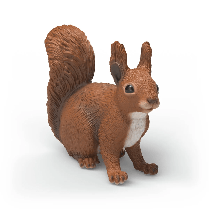 Squirrel-Schleich USA-Tools 4 Teaching-Classroom Decor and More