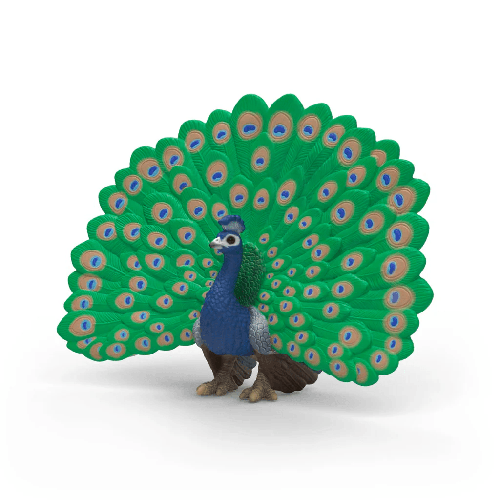 Peacock-Schleich USA-Tools 4 Teaching-Classroom Decor and More