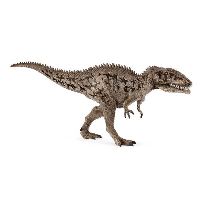 Carcharodontosaurus - Tools 4 Teaching