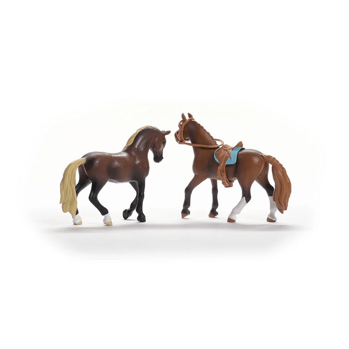 Horse Club Starter Set-Schleich USA-Tools 4 Teaching-Classroom Decor and More