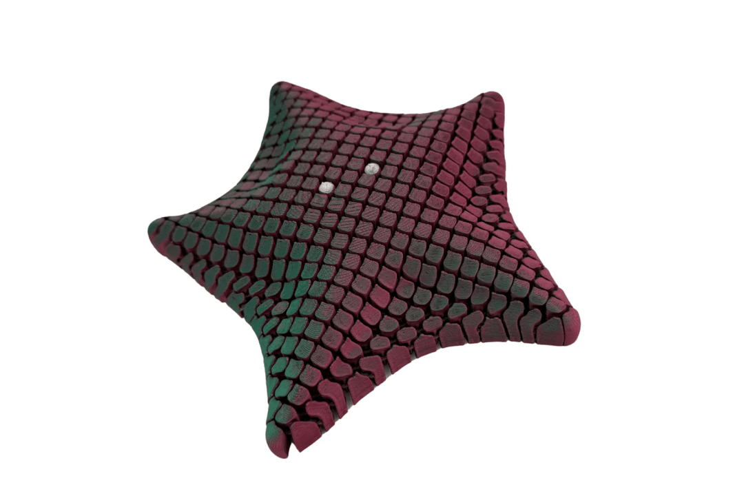 Articulated Starfish-Fidgets-Tools 4 Teaching-Classroom Decor and More