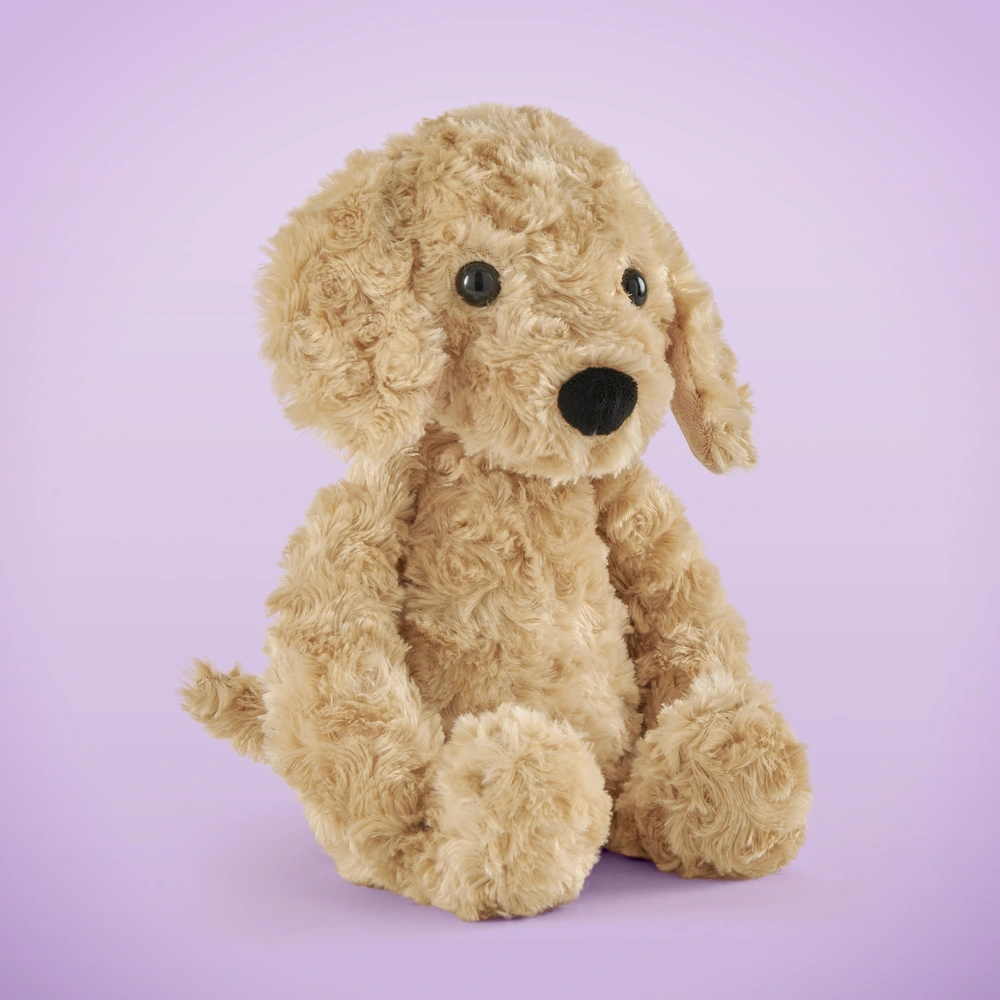 Golden Retriever 16 in Lushee