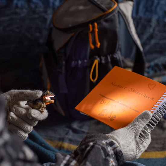 Wildlight T-rex Green-Fidgets-Tools 4 Teaching-Classroom Decor and More