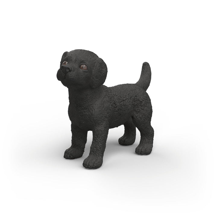 Black Lab Puppy - Tools 4 Teaching