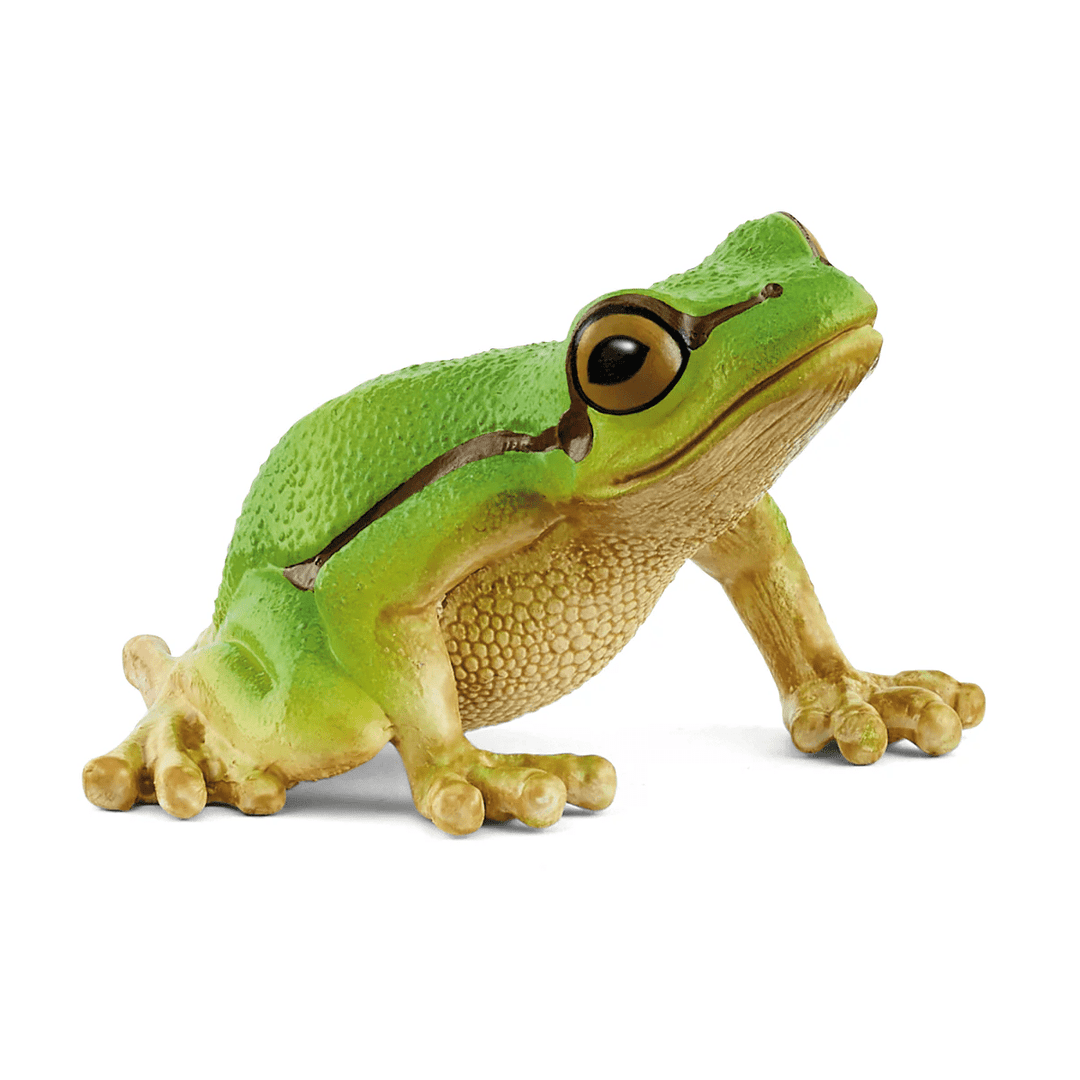 European Tree Frog-Schleich USA-Tools 4 Teaching-Classroom Decor and More