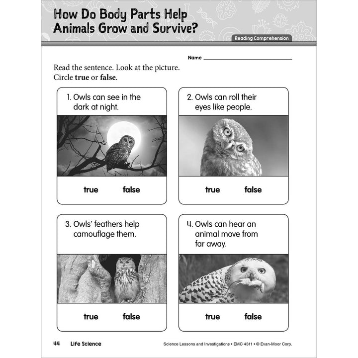 *SCIENCE Lessons and Investigations - Grade 1 Paperback - Tools 4 Teaching