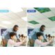 Forest Calming Covers Ceiling Light Filters - Tools 4 Teaching