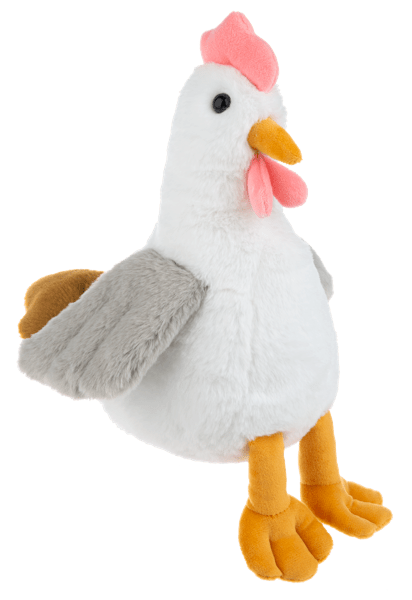 Cluckington Chicken - Tools 4 Teaching