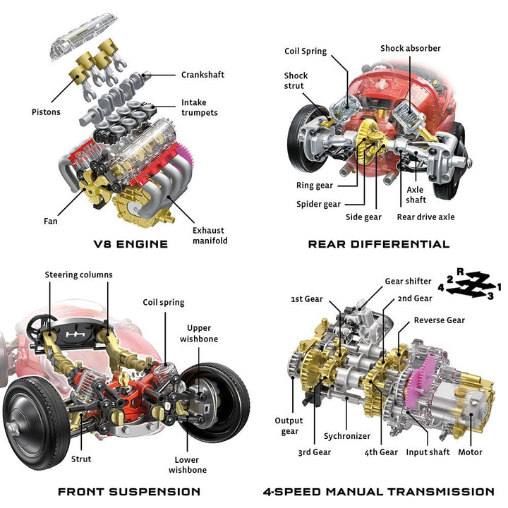 V8 Race Car - Tools 4 Teaching