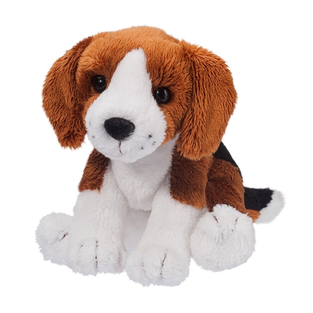Sniff Beagle - Tools 4 Teaching