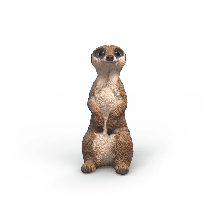 Meerkat-Schleich USA-Tools 4 Teaching-Classroom Decor and More