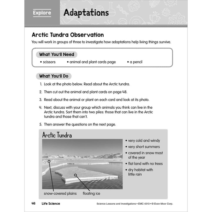 SCIENCE: Lessons and Investigations - Grade 3 Paperback - Tools 4 Teaching