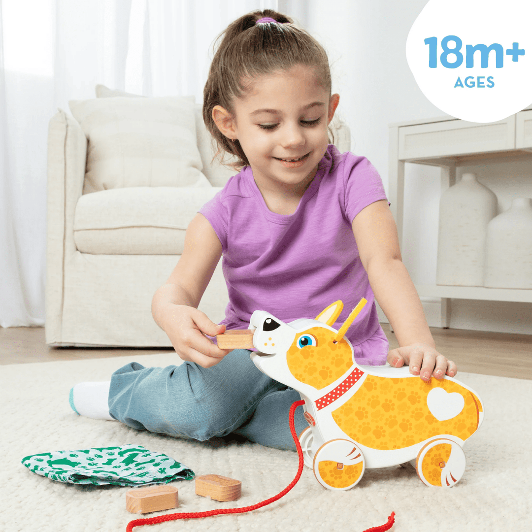 Feed, Walk, and Poo Pup-Baby & Toddler-Tools 4 Teaching-Classroom Decor and More