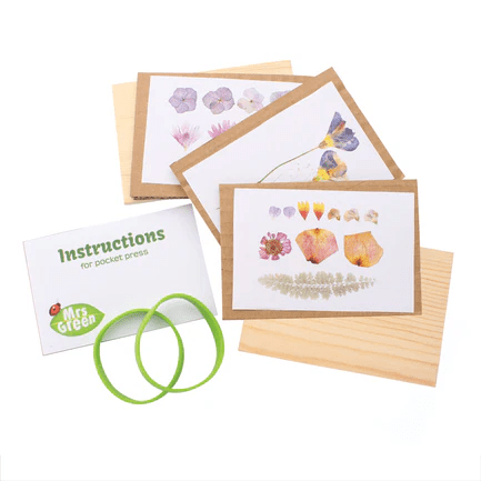Small Flower Press-Science & STEM-Tools 4 Teaching-Classroom Decor and More
