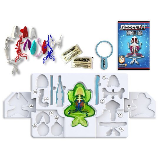 Dissect-It Super Frog Lab-Science & STEM-Tools 4 Teaching-Classroom Decor and More