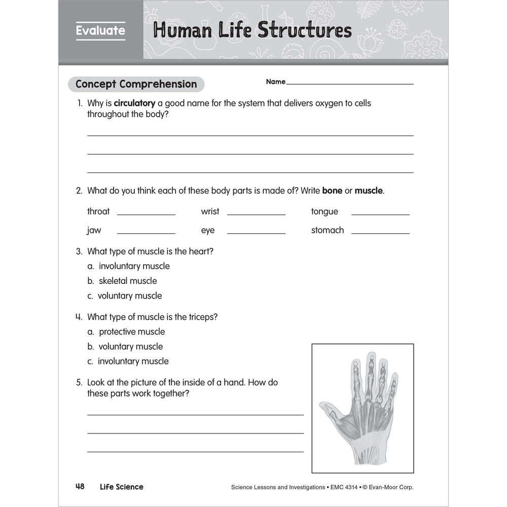 SCIENCE: Lessons and Investigations - Grade 4 Paperback - Tools 4 Teaching