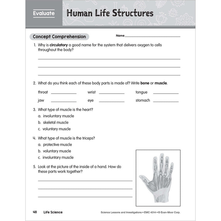 SCIENCE: Lessons and Investigations - Grade 4 Paperback - Tools 4 Teaching